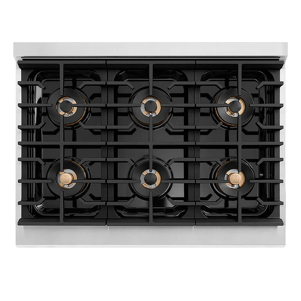 ZLINE 36 in. 5.2 cu. ft. Paramount Dual Fuel Range with 6 Burner DuoPro™ Cooktop and Electric Convection Oven in Stainless Steel (PSDR36)