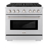 ZLINE 36 in. 5.2 cu. ft. Paramount Gas Range with Convection Gas Oven in Stainless Steel with 6 Brass Burners (SGR-BR-36)