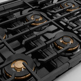 ZLINE 36 in. 5.2 cu. ft. Paramount Gas Range with 6 Burner DuoPro™ Cooktop and Convection Gas Oven in Stainless Steel (PSGR36)