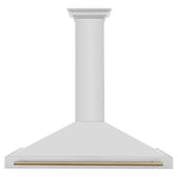 ZLINE 48 in. Autograph Edition Convertible Stainless Steel Range Hood with Stainless Steel Shell and Champagne Bronze Accents (KB4STZ-48-CB)