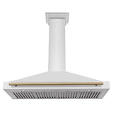 ZLINE 48 in. Autograph Edition Convertible Stainless Steel Range Hood with Stainless Steel Shell and Champagne Bronze Accents (KB4STZ-48-CB)