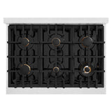ZLINE 36 in. 5.2 cu. ft. Select Gas Range with Convection Gas Oven in Satin Stainless Steel with 6 Brass Burners (HGRS-BR-36)