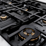 ZLINE 48 in. 6.7 cu. ft. Select Double Oven Gas Range in Satin Stainless Steel with 8 Brass Burners (HGRS-BR-48)