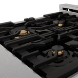 ZLINE 24 in. 2.8 cu. ft. Legacy Dual Fuel Range with Gas Cooktop and Electric Convection Oven in Satin Stainless Steel with 4 Brass Burners (RAS-SN-BR-24)