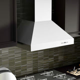 ZLINE 30 in. Professional Convertible Vent Wall Mount Range Hood in Stainless Steel (667-30)