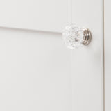 Polished Nickel Knob 1-1/8 Inch Diameter - Crystal Palace Collection