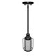 1-Light Birdcage Shape Pendant Light, Matte Black Finish, Clear Glass Shade, E26 Base, UL Listed
