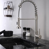Lanuvio Brass Kitchen Faucet w/ Pull Out Sprayer - Chrome