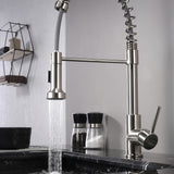 Lanuvio Brass Kitchen Faucet w/ Pull Out Sprayer - Chrome