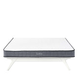 Kate 6" Innerspring Mattress with 10 Years Warranty