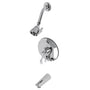 Tub And Shower Faucet